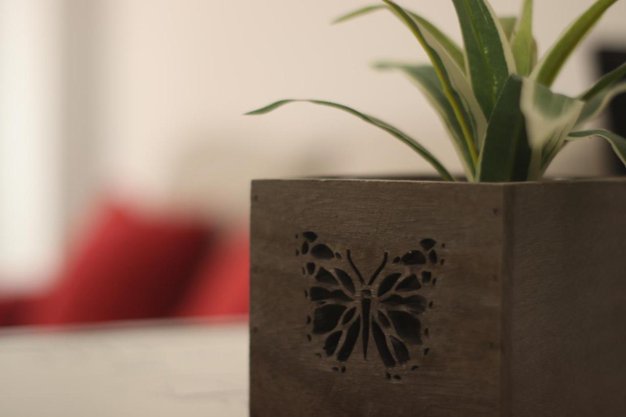 Apartamento Pleno Centro Junto Ayuntamiento Logroño Esterno foto